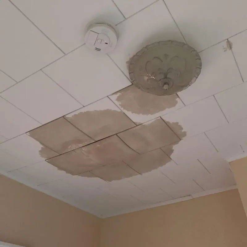 Ceiling Water Damage Repair in Lake City, IA