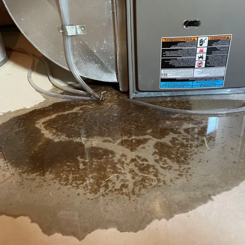 Pipe Burst and Leak Restoration in Lake City, IA