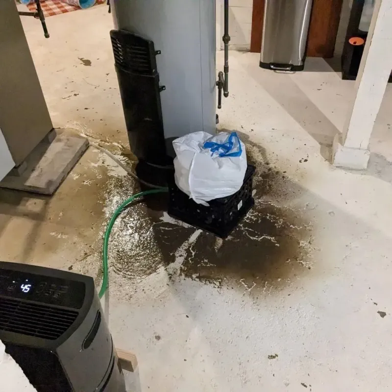 Sewage Backup Cleanup Service in Lake City, IA